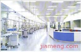 赛尔空气净化 2025旗舰新品解读与总部管理战略升级